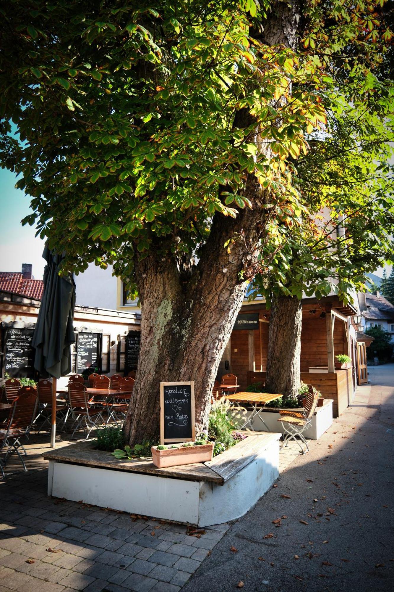 "Beim Butz" Otel Worth an der Donau Dış mekan fotoğraf